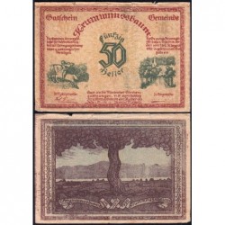 Autriche - Notgeld - Krummnussbaum - 50 heller - Type d - 06/1920 - Etat : TB-