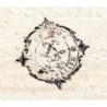 Aude - Narbonne - Louis XV - Taille de 1755 - 128 livres 10 sols 6 deniers - Etat : SUP