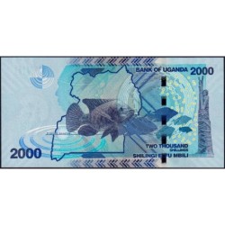 Ouganda - Pick 50f - 2'000 shillings - Série DV - 2021 - Etat : NEUF