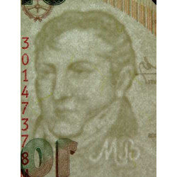 Argentine - Pick 354a_5 - 10 pesos - Série M - 2010 - Etat : NEUF