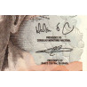 Brésil - Pick 223 - 50 cruzeiros / 50 cruzados novos - Série AA 3495 - 1990 - Etat : NEUF