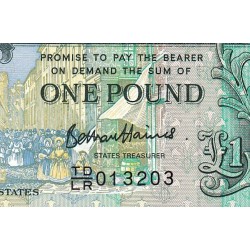 Guernesey - Pick 62 - 1 pound - Série TD/LR - 2013 - Commmémoratif - Etat : NEUF