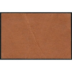 31 - Caraman - Alimentation Générale Herboristerie - Pontet - 1 franc - Type 1b - Etat : TTB