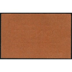 31 - Caraman - Alimentation - Herboristerie - Pontet - 1 franc - Type 2a - Etat : SPL+