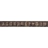 Chine - Sin Chun Bank of China - Pick S non réf. - 1 dollar - Peking - 01/1907 - Etat : B