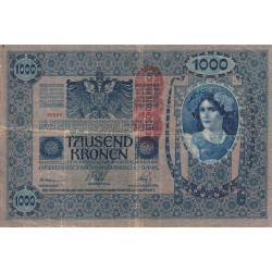 Autriche - Pick 59 - 1'000 kronen - 1919 - Etat : TB-