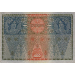 Autriche - Pick 60 - 1'000 kronen - 1919 - Etat : SUP