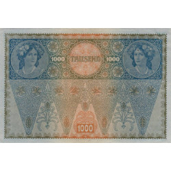 Autriche - Pick 61_2 - 1'000 kronen - 1919 - Etat : SUP