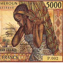Cameroun - Pick 22_2 - 5'000 francs - Série P.002 - 1990 - Etat : TB