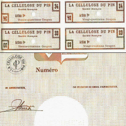 33 - Biganos - La Cellulose du Pin - 75 NF - 1962 - Spécimen - SUP+
