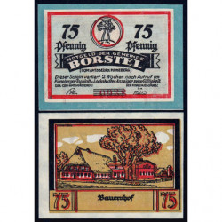 Allemagne - Notgeld - Borstel - 75 pfennig - 1920 - Etat : pr.NEUF