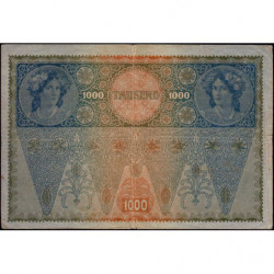 Autriche - Pick 61_2 - 1'000 kronen - 1919 -  Etat : TB