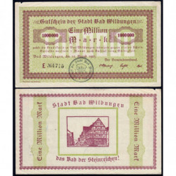 Allemagne - Notgeld - Wildungen (Bad Wildungen) - 1 million mark - Série E - 15/08/1923 - Etat : TTB