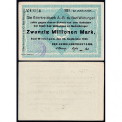 Allemagne - Notgeld - Wildungen (Bad Wildungen) - 20 million mark - 20/09/1923 - Etat : SUP