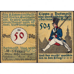 Allemagne - Notgeld - Detmold - 50 pfennig - Réf. 3a - 08/1920 - Etat : SUP