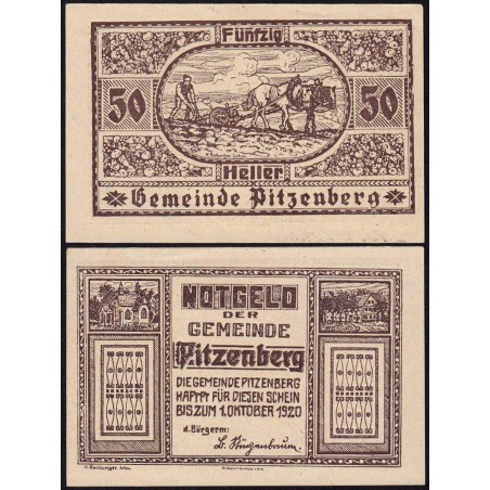 Autriche - Notgeld - Pitzenberg - 50 heller - Type 1 - 1920 - Etat : SPL
